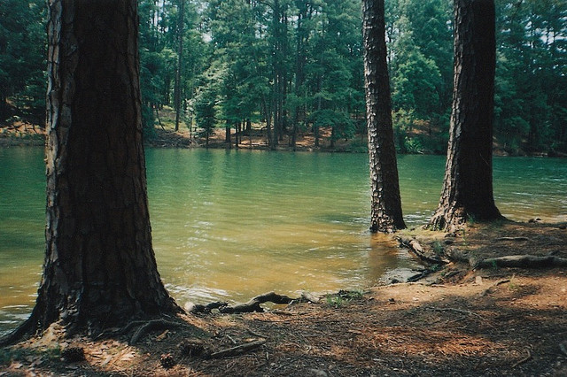 nostalgic-dreaming:  untitled by maria hardin on Flickr. 