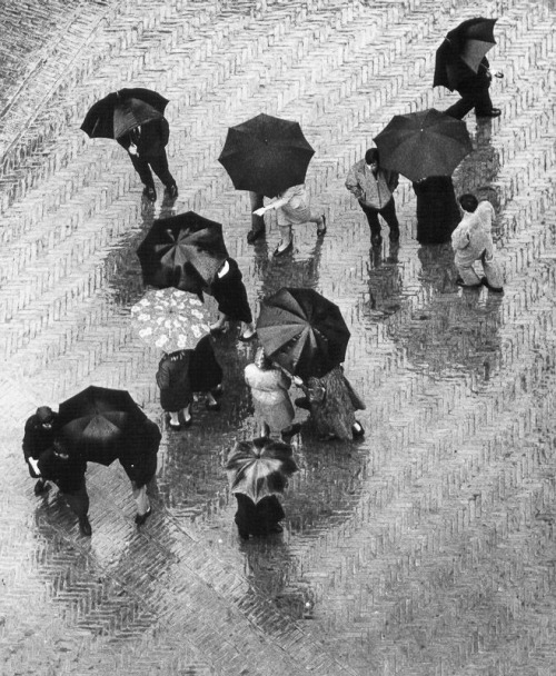 casadabiqueira: San Gimignano, Tuscany, Italy Wolfgang Suschitzky, 1965