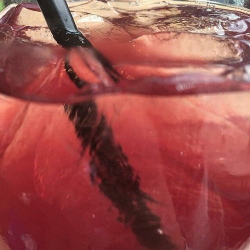 bhodacious:red