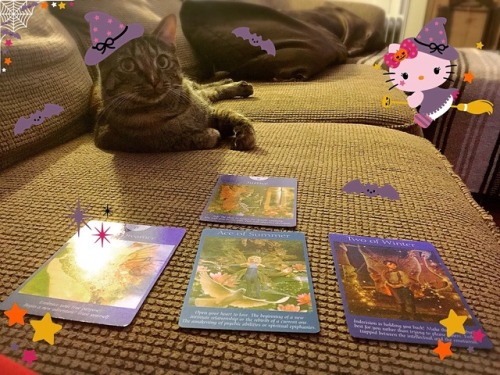 Tarot cards and kitty cats~ just some witchy things&hellip;