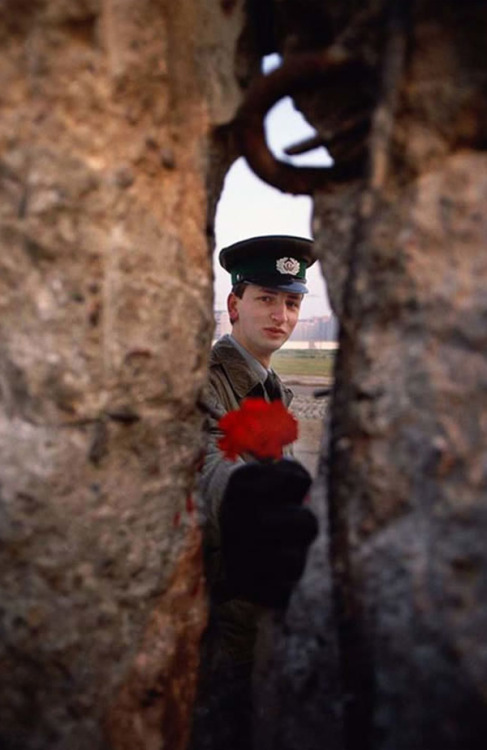 Soldier hands flower through the Berlin Wall in 1989