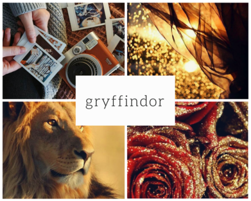 &ldquo;You might belong in Gryffin—,Where dwell the brave at heart,Their daring, nerve, and chivalry