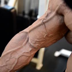 Musculos, Roids y Osos