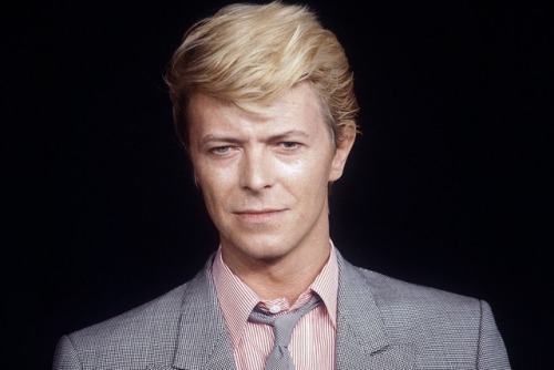 greeneland27: Good morning. Normal Bowie service will be resumed asap! 