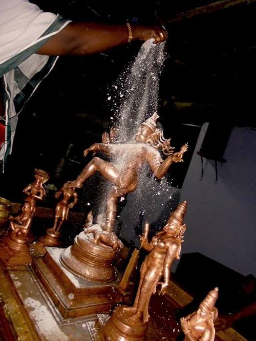 Shiva Nataraja holy bath (abhisekham)