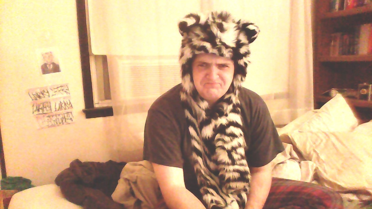 larry-the-tiger:  buizelmaniac:   larry-the-tiger:   evidence that I Larry The Tiger