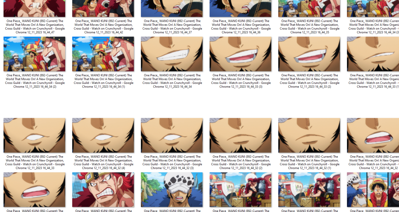 One Piece: WANO KUNI (892-Current) The World That Moves On! A New  Organization, Cross Guild - Watch on Crunchyroll