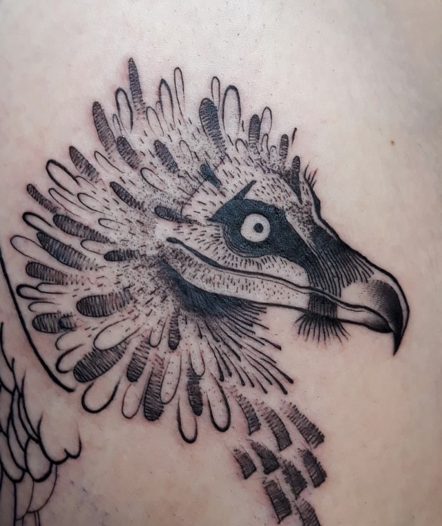Bearded vulture by Chris May at Proton Tattoo in Dekalb, IL : r/tattoos