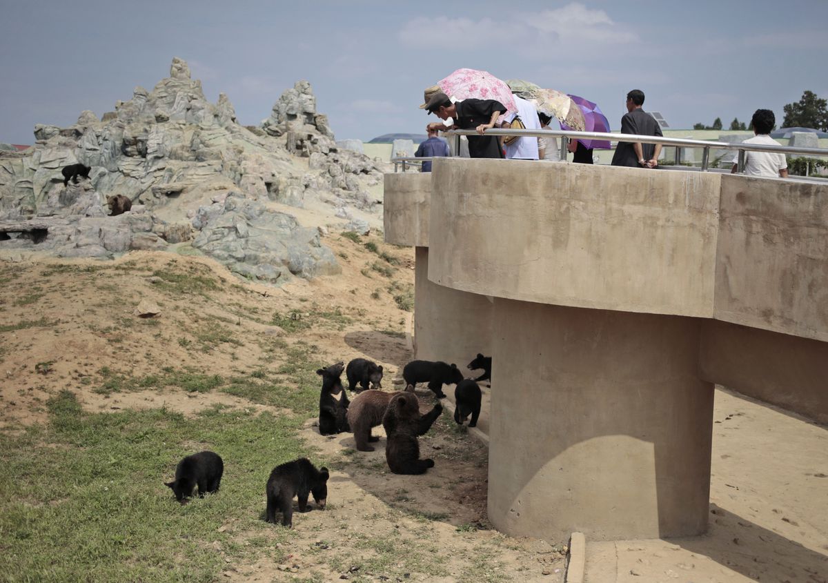 fotojournalismus:  A Day at the Zoo in Pyongyang (August 23, 2016)Photos by Dita