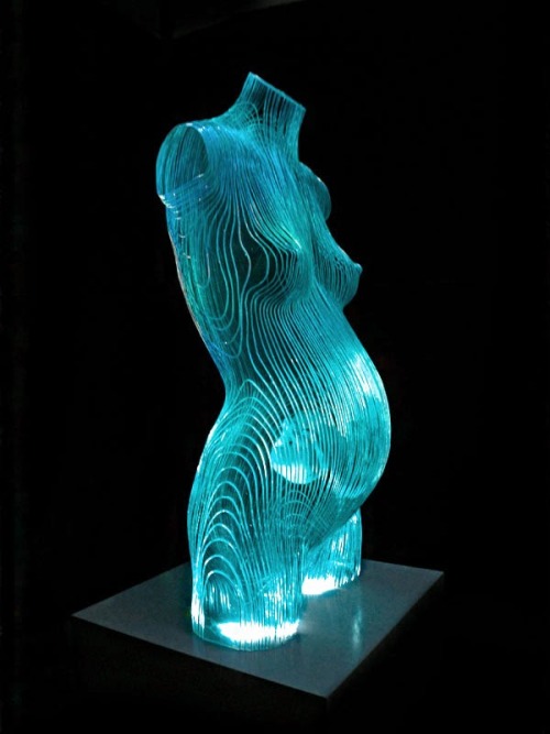 asylum-art:  Glass Sculptures by Ben Young Hand drawn and hand cut glass which are layered to create each unique piece of artwork.  “I love watching the two dimensional shapes evolve into three-dimensional creations and the different way the light