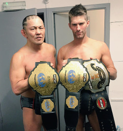 Puroresu Musings