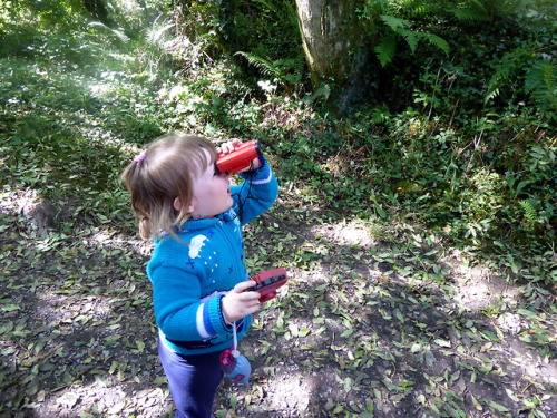 Intrepid dinosaur hunter on the trail of Tenby’s most fearsome prehistoric beasts…for hugs an