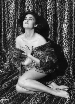 Just hope it&rsquo;s not real fur&hellip;  Sherilyn Fenn photographed by Steven Meisel for D&amp;G, 1991 