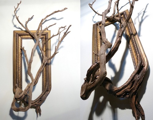 sibilia: mymodernmet: Salvaged Tree Branches Seamlessly Emerge from Antique Picture Frames @mrozna l