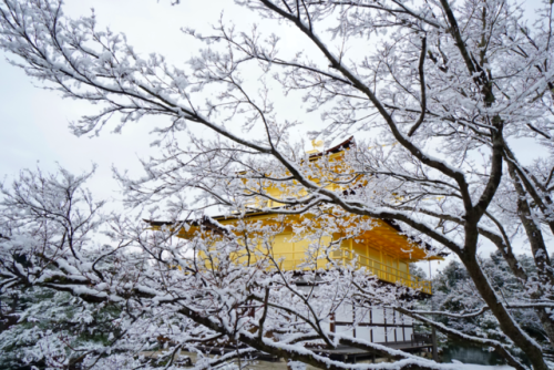 nihongo: chitaka45: 京都 金閣寺 ❄️雪景色❄️2018年1月14日 kyoto kinkakuji temple 14.1.2018 まるで絵葉書のような、美しい雪の金閣寺。寒