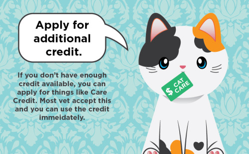 vesperasparx:  thetinytabby:  If you find yourself suddenly needing a TON of money for an emergency vet bill, it can be very stressful! Luckily, there are some things you can do to help your situation. Apply for Care CreditFinancial Resources by US StateY