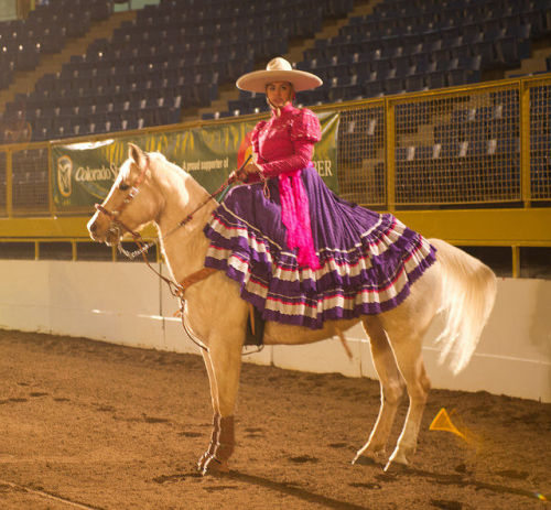 sartorialadventure:Some kickass Mexicanas participating in una charreada (click to enlarge)The charr