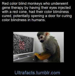 ultrafacts:    (Fact Source)   for more facts,