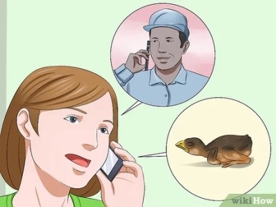 todaysbird:me calling my friends to tell them about birds :)