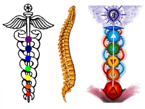 sex-death-rebirth:  source