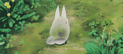 Butts