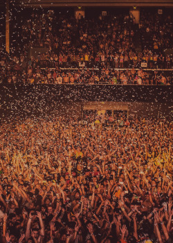 rocknrave221:  house-princess:  holy perfection.  Miss it