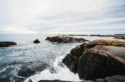 biddeford pool // biddeford maine