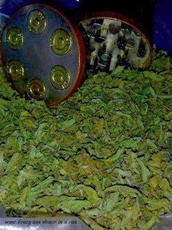 some-krazy-ass-stoner-in-a-van:  sea of green