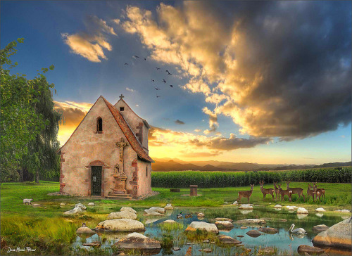 Rest area by Jean-Michel Priaux on Flickr.