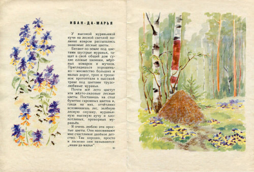 sovietpostcards:Ivan Solokov-Mikitov, “Flowers of the Forest”. Illustrated by Yelen