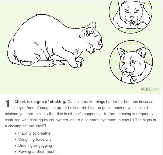 I always see the dog choking info on here, so here’s what to do if a kitty is choking