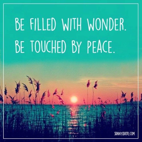 Porn sunnyquote:Be filled with wonder. Be touched photos