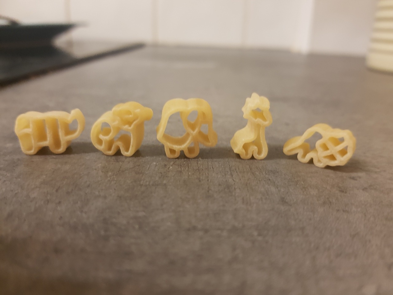 Kitten and Her Pup — Daddy got me safari animal pasta! It’s a rhino, a…