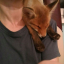 foxandthejackal