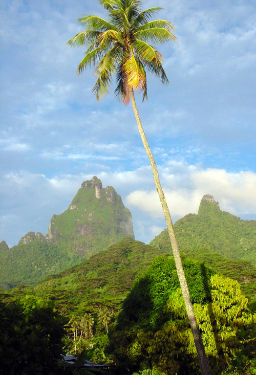 ultrafreedomrun:Moorea, TahitiImage: Jorin Sievers