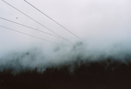 foxmouth:  Austria, 2014 | by Ingeborg Klarenberg