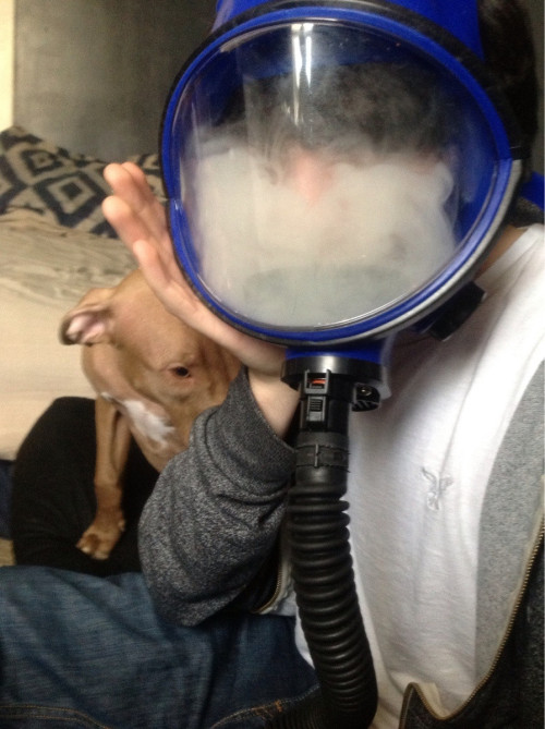weedporndaily:  First post… Too High for title