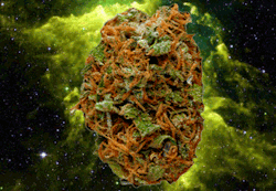 666-Grams
