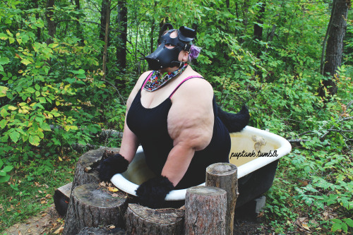 brisketbully:  puptank:  I found a tub, but you can’t take baths in the woods… or can you?taken by @pupbaka  A tub in the woods? Sounds like pup was secretly making moonshine!