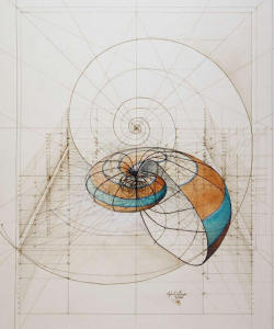tiralatele:  Arte y cálculo por Rafael Araujo