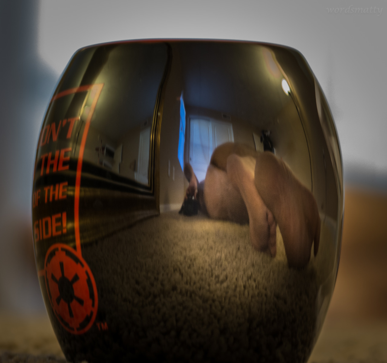 asleepylioness:   Dearest Lioness,      I loved the idea of the reflection theme,
