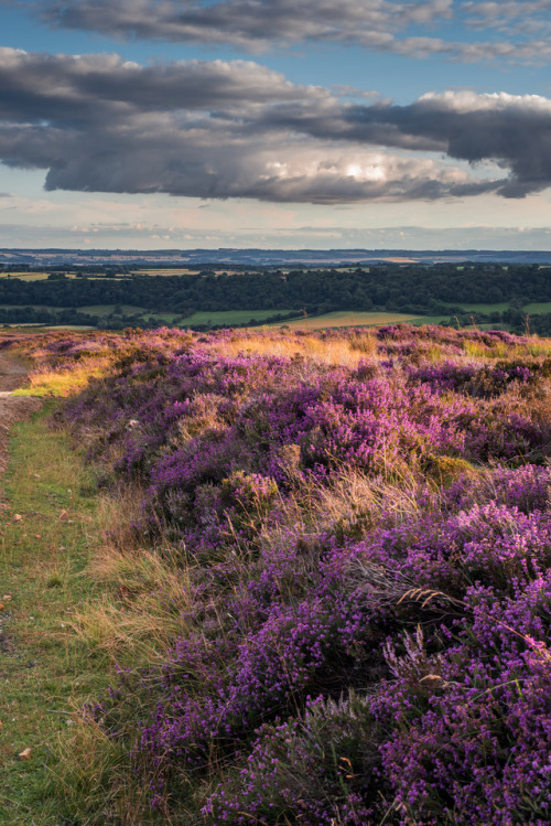 godshideouscreation:by natural england 