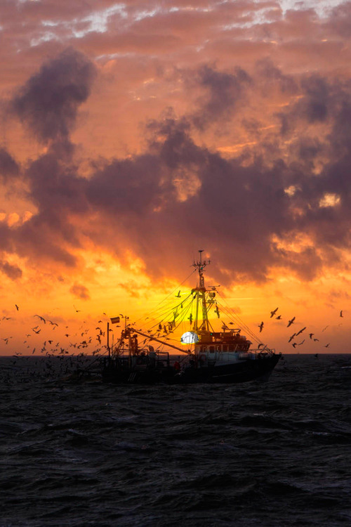 plasmatics-life:  Fisherboat in the Sunset - {by Markus Heimann} | {Follow on Flickr}