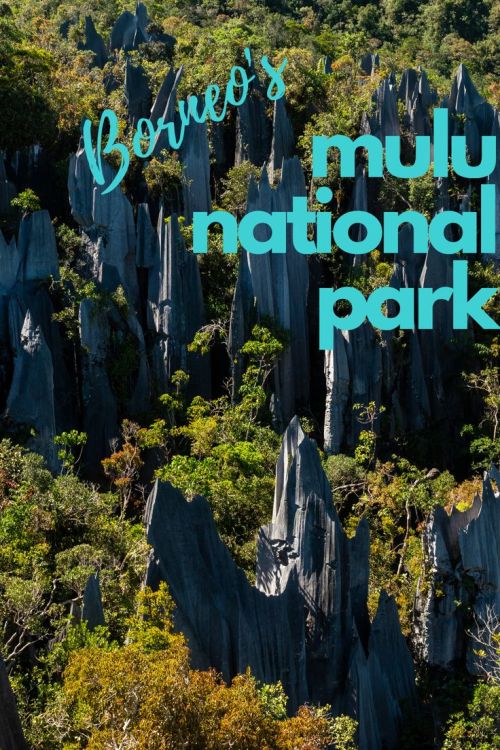 Spend a few days hiking, caving and enjoying all the Mulu national park has to offer. Hike in on the