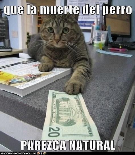 http://kikegalleta.tumblr.com/post/114895256030