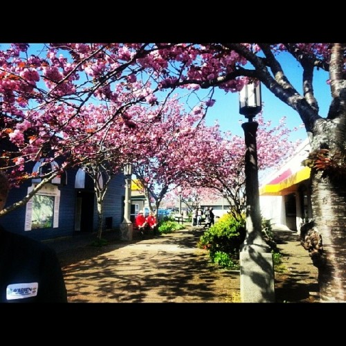 It was really nice day out. #seaside #Oregon