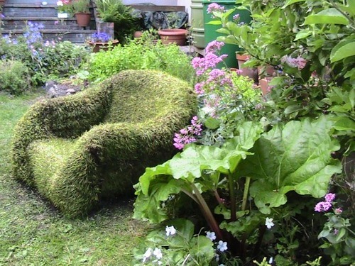 lilplanty:   