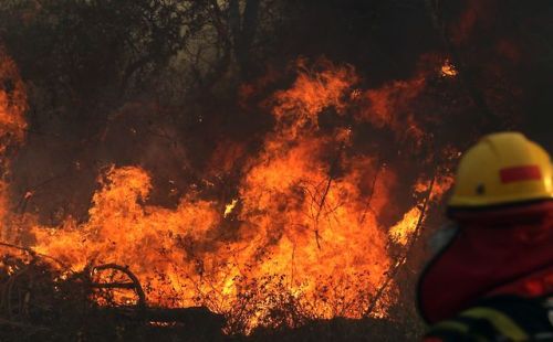 PHOTOS: Amazon rainforest burnsThe famous Amazon rainforest, covering much of northwestern Brazil an