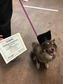 nerdy-knitter:Lena graduated today!! oh btw,