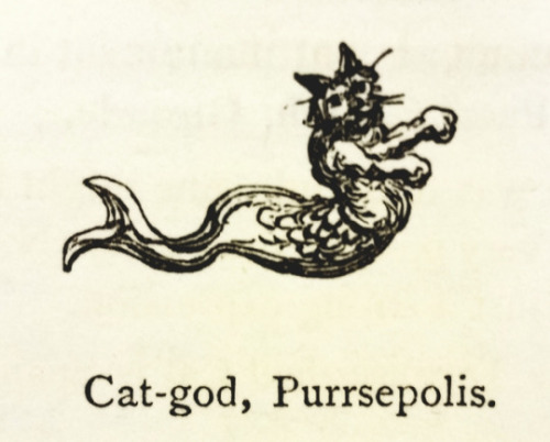 Porn Pics detroitlib: #caturday ! From our stacks: